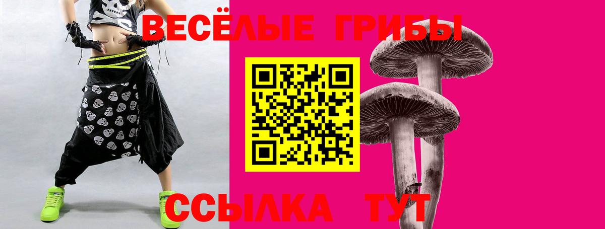 Топки  Псилоцибиновые грибы мицелий  Вход с VPN 